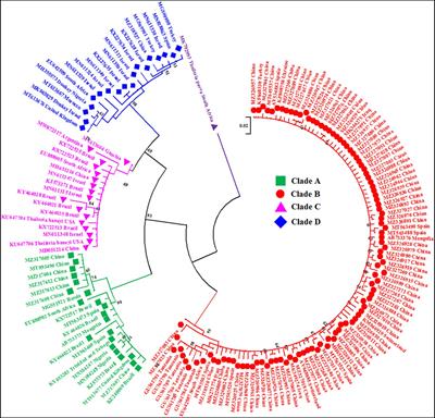 Revisiting the genotypes of Theileria equi based on the V4 hypervariable region of the 18S rRNA gene
